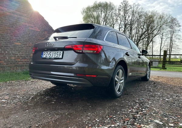 Audi A4 cena 75999 przebieg: 167000, rok produkcji 2016 z Warka małe 379